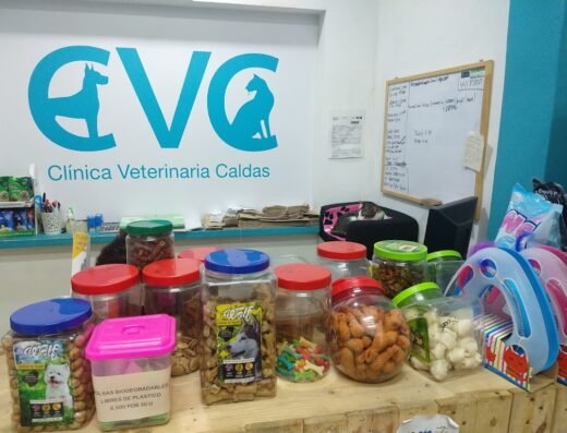 Clínica Veterinaria Caldas
