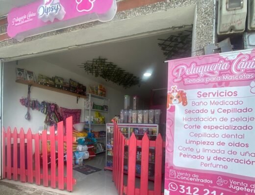 Dipsy peluquería canina