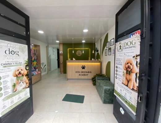 DOG GROOMING ACADEMY PELUQUERÍA CANINA Y FELINA