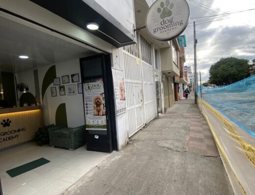 DOG GROOMING ACADEMY PELUQUERÍA CANINA Y FELINA
