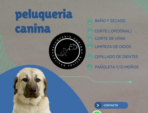 Estetica canina y felina Colitas felices la ceja