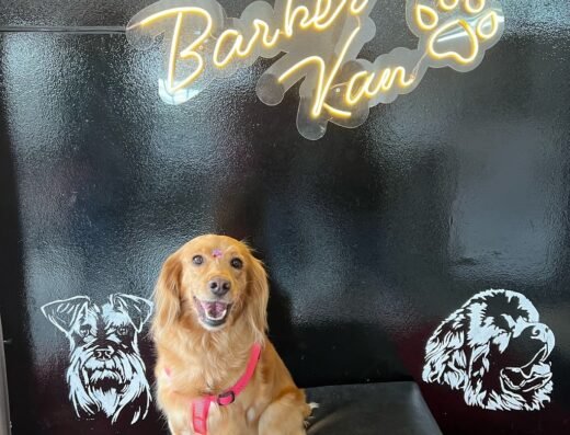 Estilo Canino – Christian Calderón