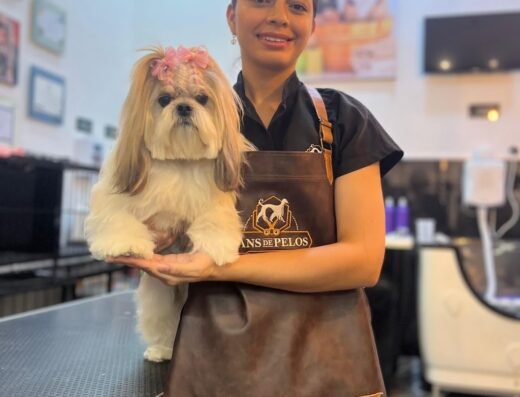 Fans de Pelos – Peluquería canina en Sabaneta