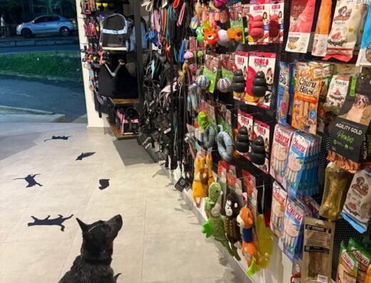 GANDJU PET SHOP (PELUQUERÍA CANINA Y TIENDA DE MASCOTAS)
