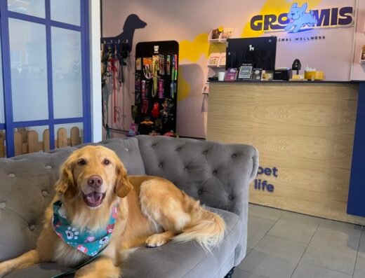 Groomis Animal wellness