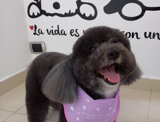 Huella Fiel