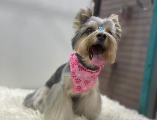 Issapets
