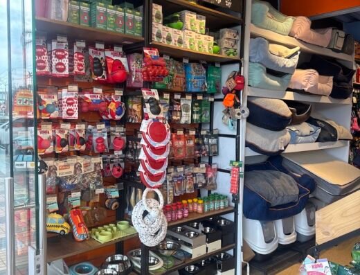 Kanú Pet Llanogrande