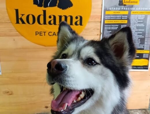 Kodama Pet Care