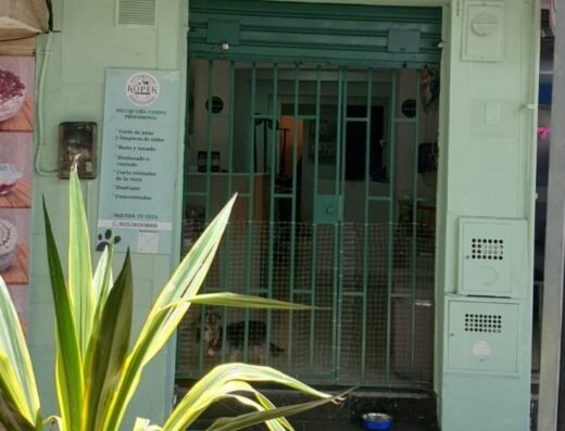Köpek Groomer’s