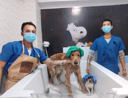 la peluquería de snoopy
