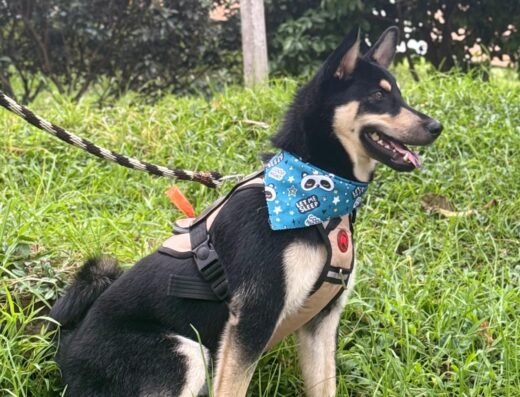Lulita SPA Canino