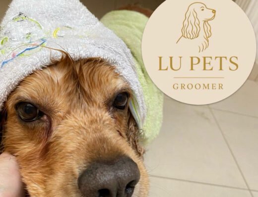 LUPET’S Medellín (estética canina y felina)
