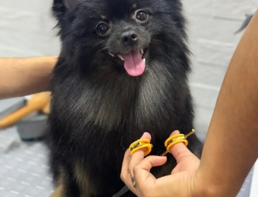 LUXURY PET SPA