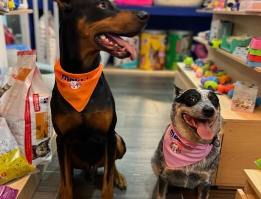 Makki Spa & Petshop