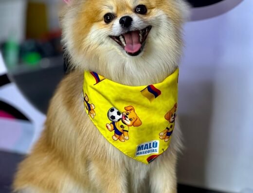 MALÚ MASCOTAS ENVIGADO