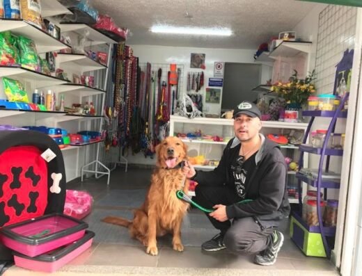 MIMADOG | Peluquería canina y felina, concentrados, juguetes y accesorios, guardería, vacunación y desparasitación.