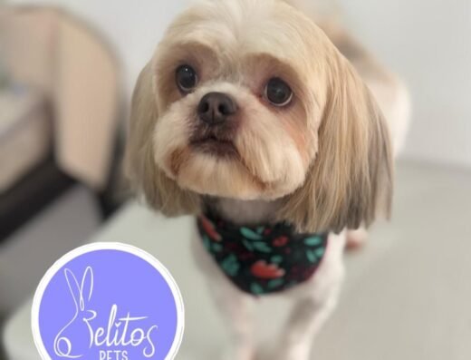 Pelitos Pets
