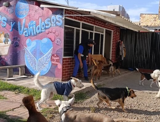 peludos y vanidosos
