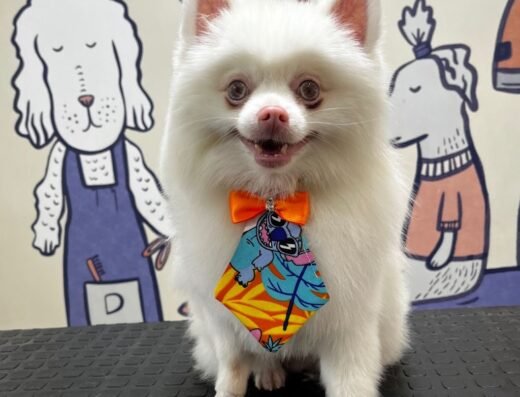 Peluquería Canina DIANAC