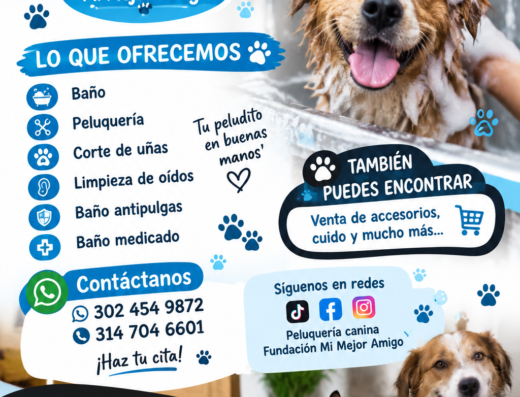 Peluquería canina fundación mi mejor amigo