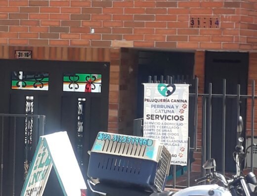 Peluquería canina perruna y gatuna