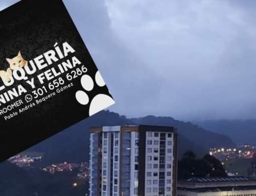 Peluqueria canina y felina la florida