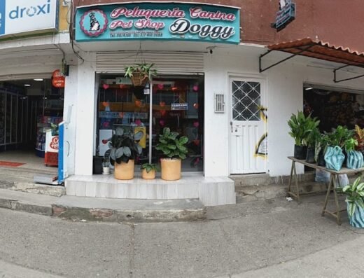 peluqueria canina y pet shop doggy
