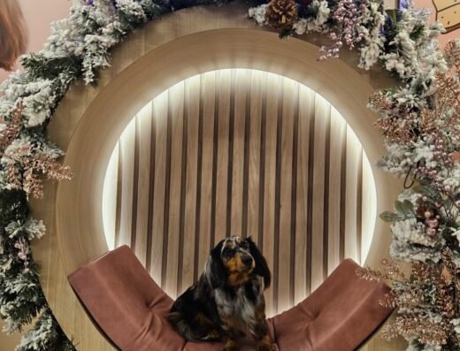 Pet Spa By Dogs & Love