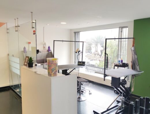 PET’S DAY STUDIO