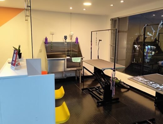 PET’S DAY STUDIO