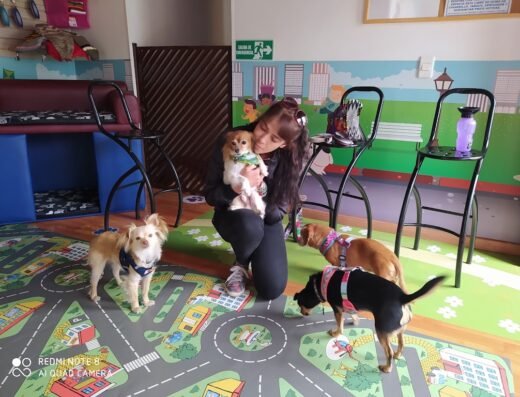 PONTE GUAU – SPA CANINO