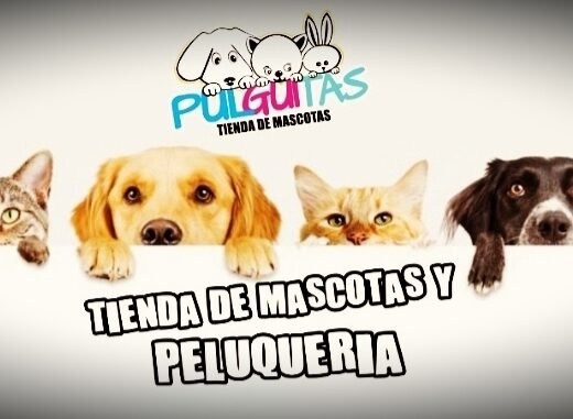 Pulguitas Spa & PetShop