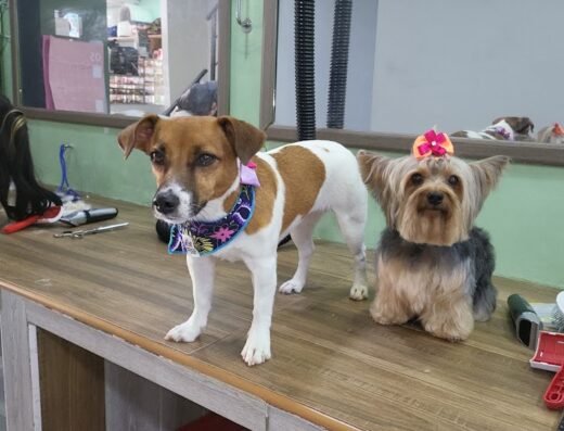 Rasgunitos pet boutique