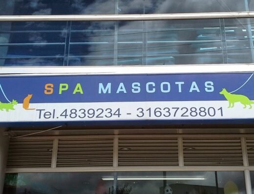 Spa Mascotas