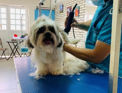 SPA TU PERRO SPA TU GATO
