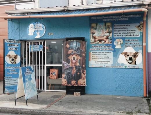 Spa y peluquería canina, FIELES COMO PERROS Y GATOS