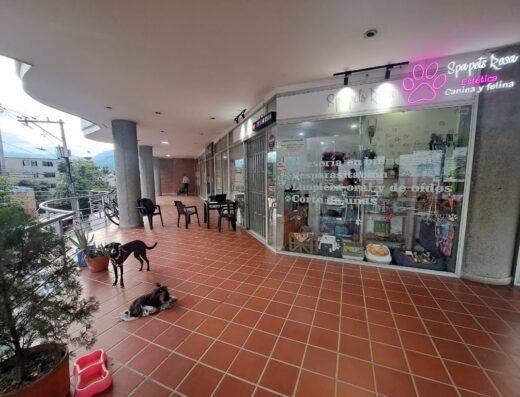 SpapetsRosa – Peluqueria Canina, Felina y Acesorios para mascotas.