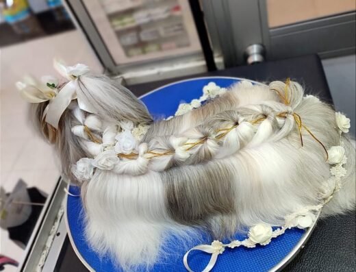 Style Pets Estetica Canina Profesional