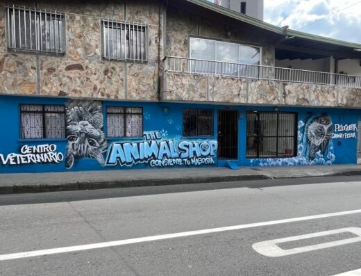 The Animal Shop