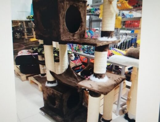 Tienda y peluqueria de mascotas Yo+Dog