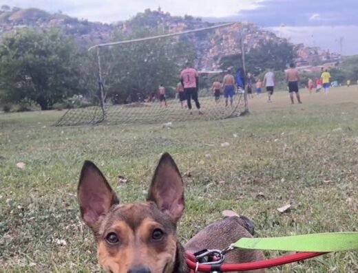Sanson