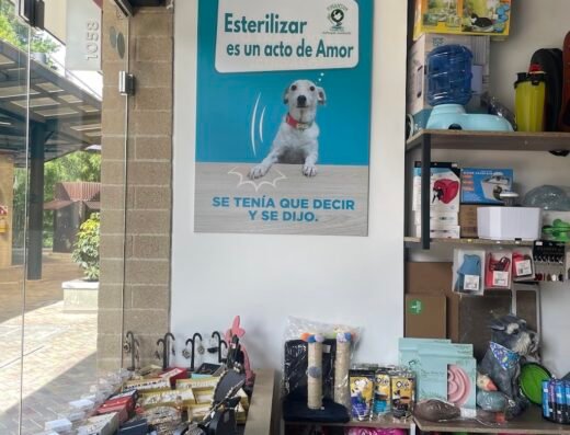 Veterinaria Animal Green