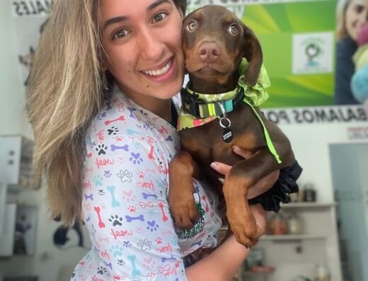 Veterinaria Animal Green