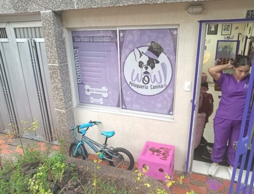 WOW peluqueria canina & felina