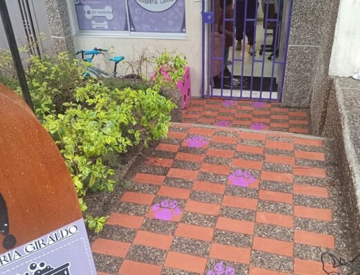 WOW peluqueria canina & felina